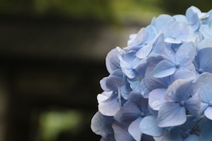 2015_0614_001
