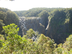 DSCN0741