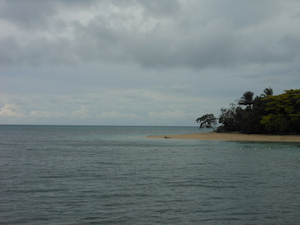 DSCN0874