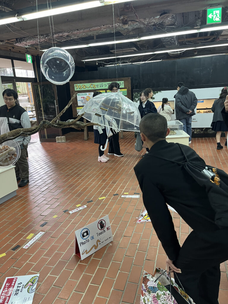 2日目・沖縄ワールド(ハブ)